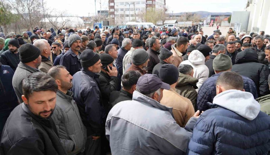 Kadın girişimcinin büyük azmi: Kendisi küçükbaş hayvan üreticisi, kocası çoban