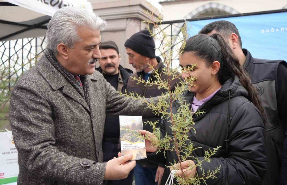 Kırıkkale’de vatandaşlara ücretsiz fidan dağıtıldı