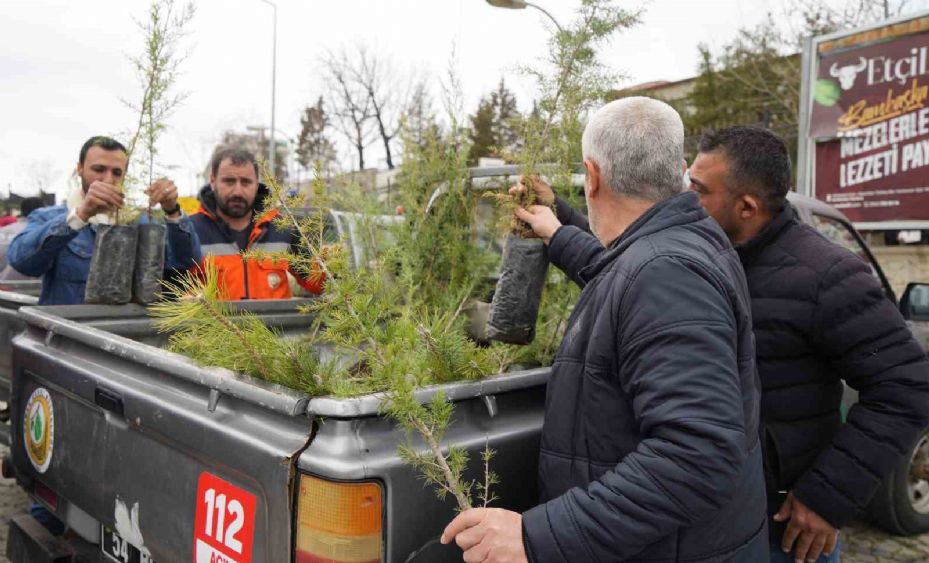 Kırıkkale’de vatandaşlara ücretsiz fidan dağıtıldı