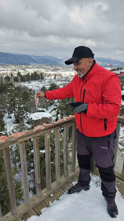 Konya’da leyleklerin yuvalarına besin takviyesi