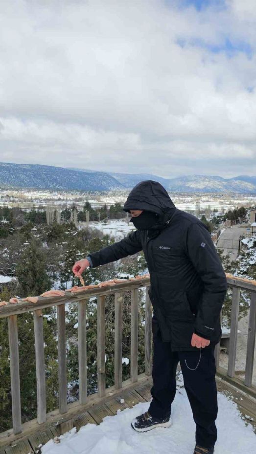 Konya’da leyleklerin yuvalarına besin takviyesi