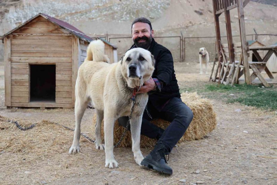 Geleceğin Anadolu Aslanları, bu yıl erken dünyaya geldi