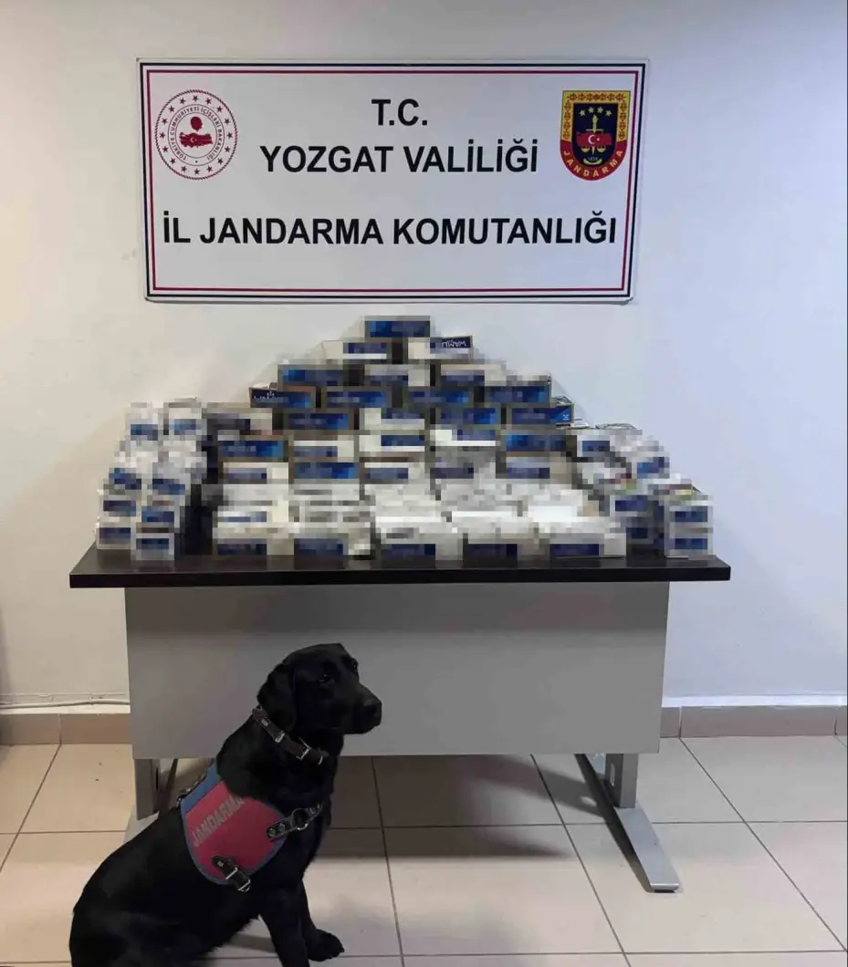 Yozgat’ta 20 bin adet makaron ele geçirildi