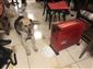 Kar ve soğuktan kaçan köpek çay ocağındaki ısıtıcının yanına uzandı