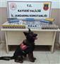 Sigara kaçakçıları jandarmadan kaçamadı
