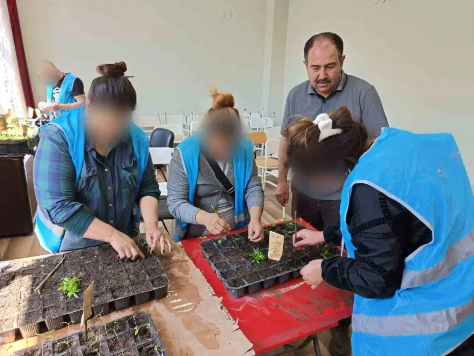 Yükümlülerin ektiği tohumlardan çıkacak ürünler ihtiyaç sahiplerine dağıtılacak