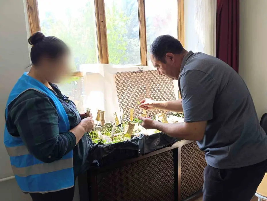 Yükümlülerin ektiği tohumlardan çıkacak ürünler ihtiyaç sahiplerine dağıtılacak