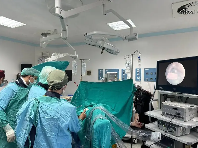 ERÜ, ‘Holmium/Thulium Lazer ve Robotik RIRS Kursu’na ev sahipliği yaptı