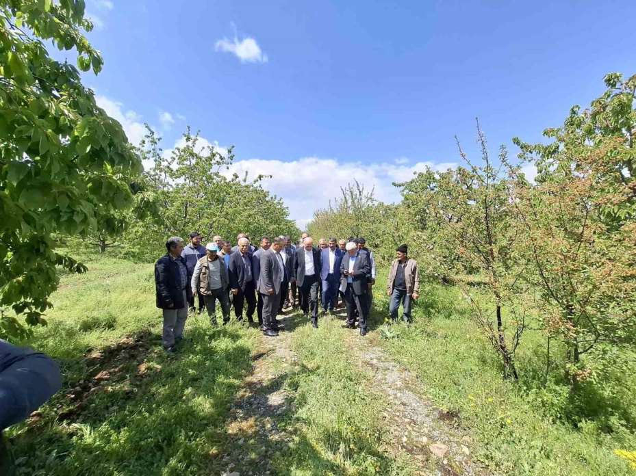 TZOB Başkanı Bayraktar, Akşehir’de zirai dondan etkilenen bahçeleri inceledi