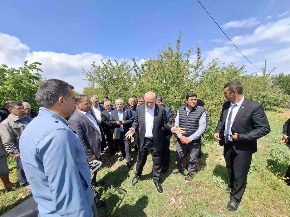 TZOB Başkanı Bayraktar, Akşehir’de zirai dondan etkilenen bahçeleri inceledi