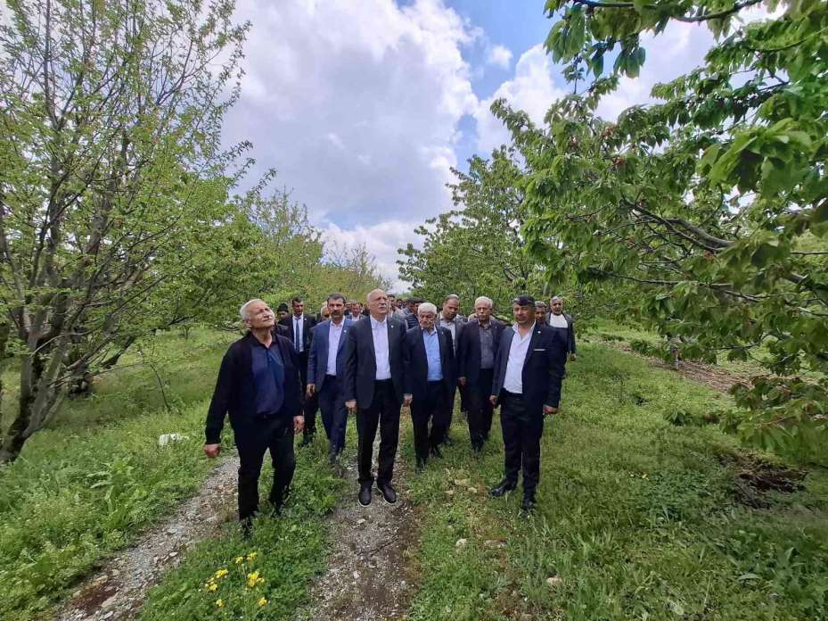 TZOB Başkanı Bayraktar, Akşehir’de zirai dondan etkilenen bahçeleri inceledi