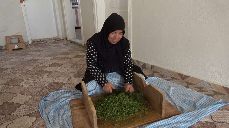 İç Anadolu’nun lezzeti madımak sofralarda yerini aldı