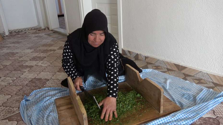 İç Anadolu’nun lezzeti madımak sofralarda yerini aldı