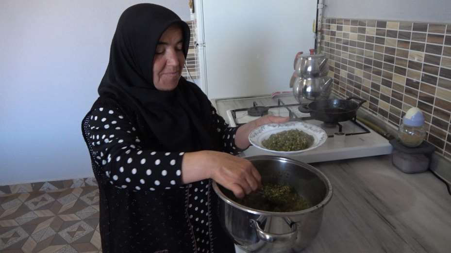 İç Anadolu’nun lezzeti madımak sofralarda yerini aldı