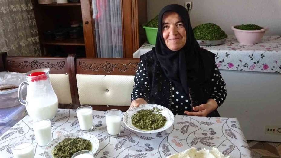 İç Anadolu’nun lezzeti madımak sofralarda yerini aldı
