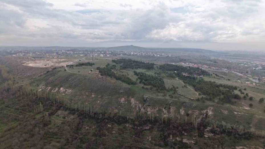 3 bin fidanı toprakla buluşturan büyükşehirden ‘Gesi Ağaçlandırma Şenliği’