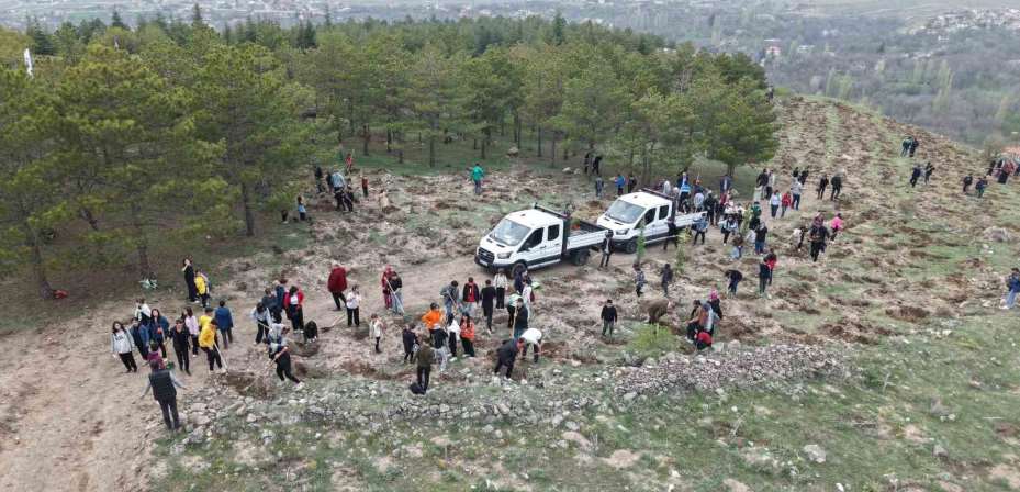 3 bin fidanı toprakla buluşturan büyükşehirden ‘Gesi Ağaçlandırma Şenliği’