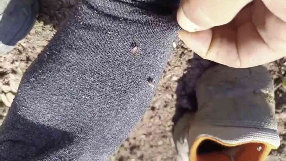 Yozgat’ta kene alarmı, uzmanı uyardı