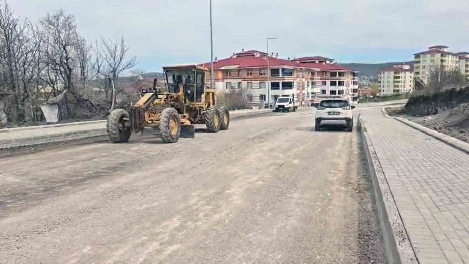 Cadde ve sokaklardaki asfalt çalışmaları başladı