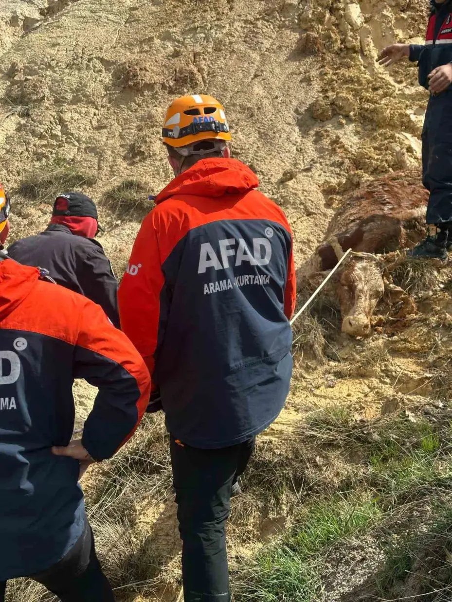 İneğiyle birlikte çamura saplanan vatandaşı AFAD ekipleri kurtardı