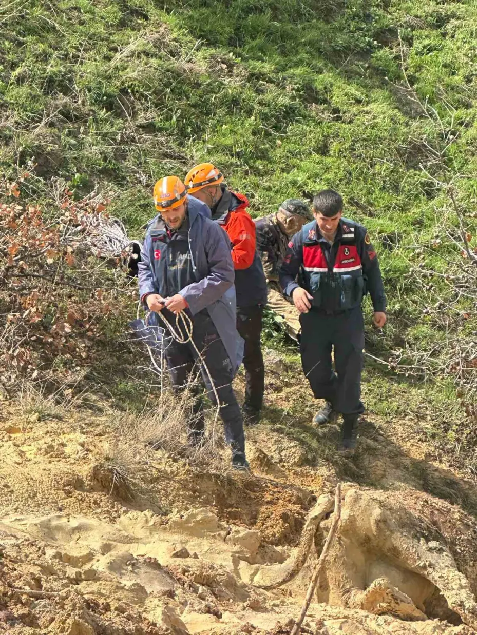 İneğiyle birlikte çamura saplanan vatandaşı AFAD ekipleri kurtardı