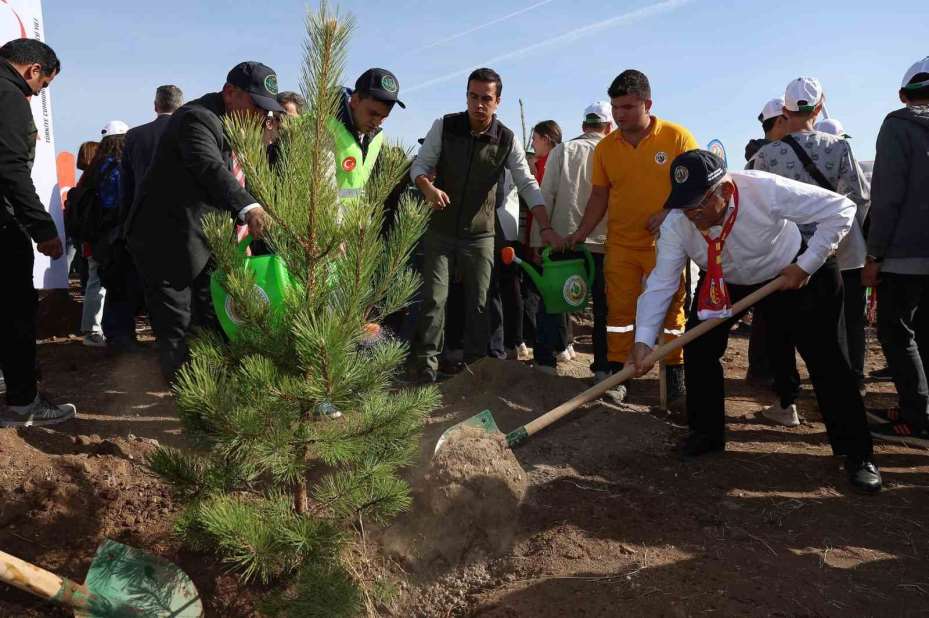Büyükşehirden 6 yılda 750 bin fidan ile Kayseri’ye ’yeşil’ katkı