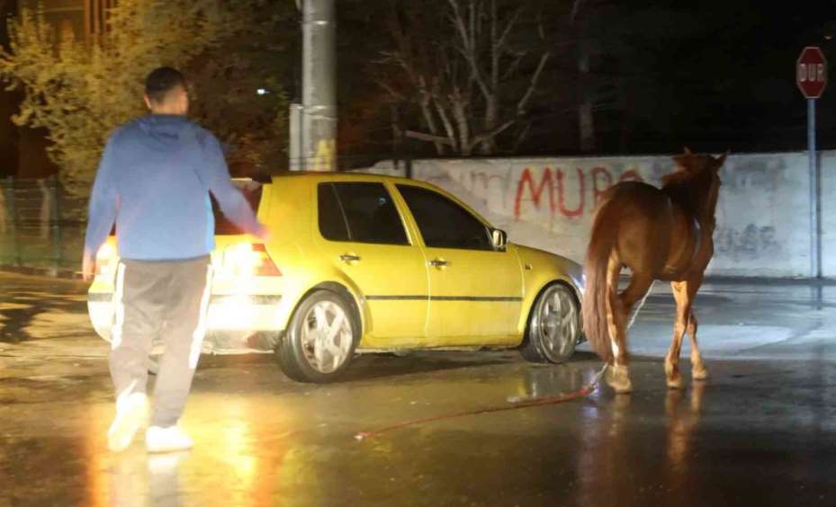 Belediyeden başıboş at ihbarı yapan vatandaşa "Atı bağlayın, biz sabah ekip göndeririz" cevabı