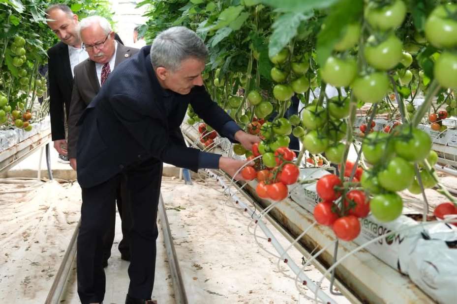 Bozkırın dondurucu soğuğunda üretildiler