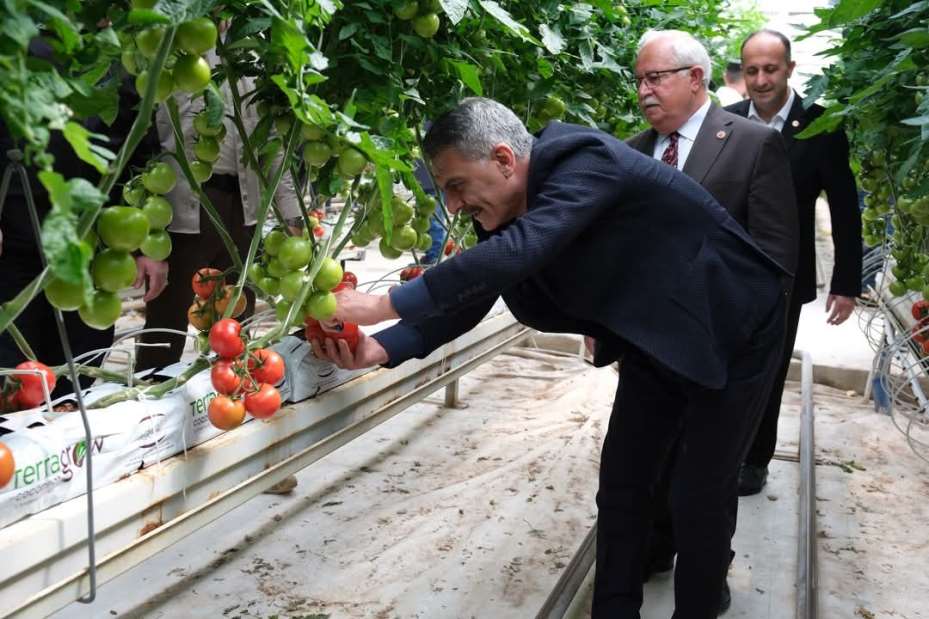 Bozkırın dondurucu soğuğunda üretildiler