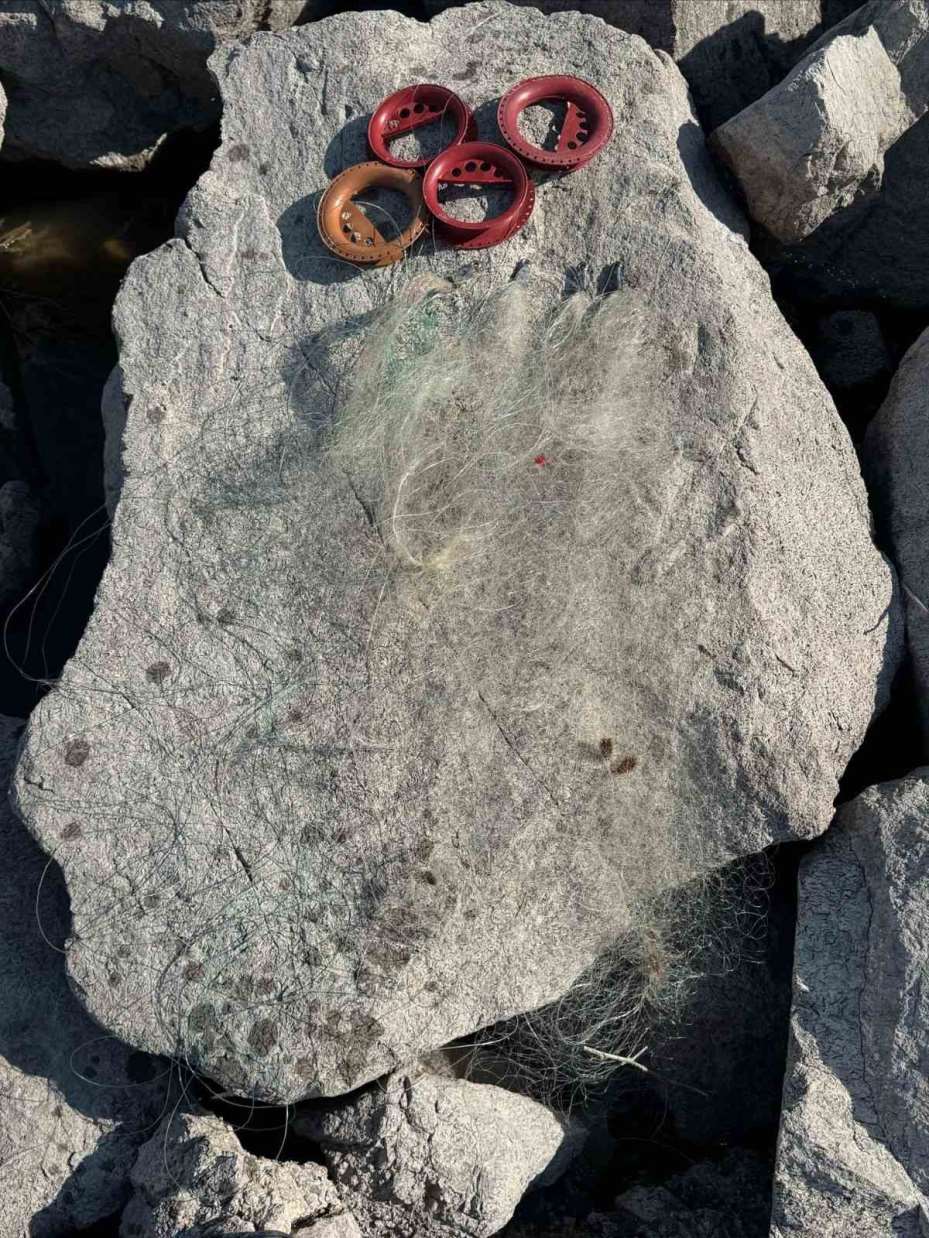 Kaçak Balık avı yapan 2 kişi yakalandı