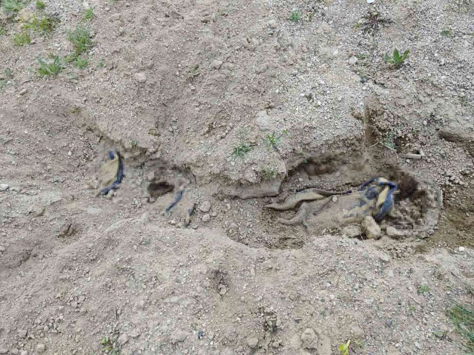Çoban, boş arazide battaniyeye sarılarak gömülmüş erkek cesedi buldu
