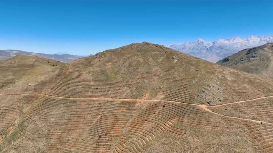 Çamardı’da 227 hektarlık alanda ağaçlandırma yapıldı