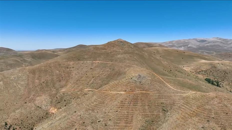 Çamardı’da 227 hektarlık alanda ağaçlandırma yapıldı