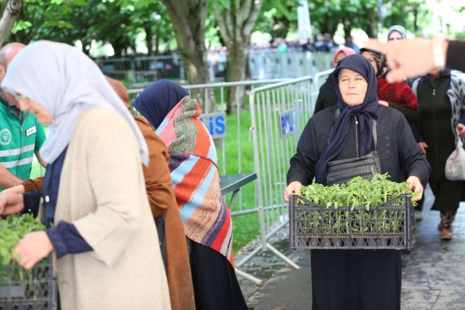 Başkan Çolakbayrakdar’dan organik domates fidesi dağıtımına davet