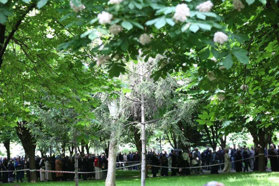 Başkan Çolakbayrakdar’dan organik domates fidesi dağıtımına davet
