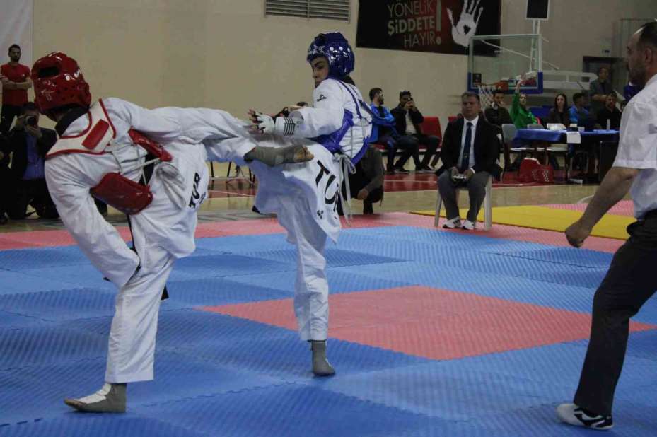 Erva Spor Okulları 2. Valilik Kupası Taekwondo Şampiyonası yapıldı