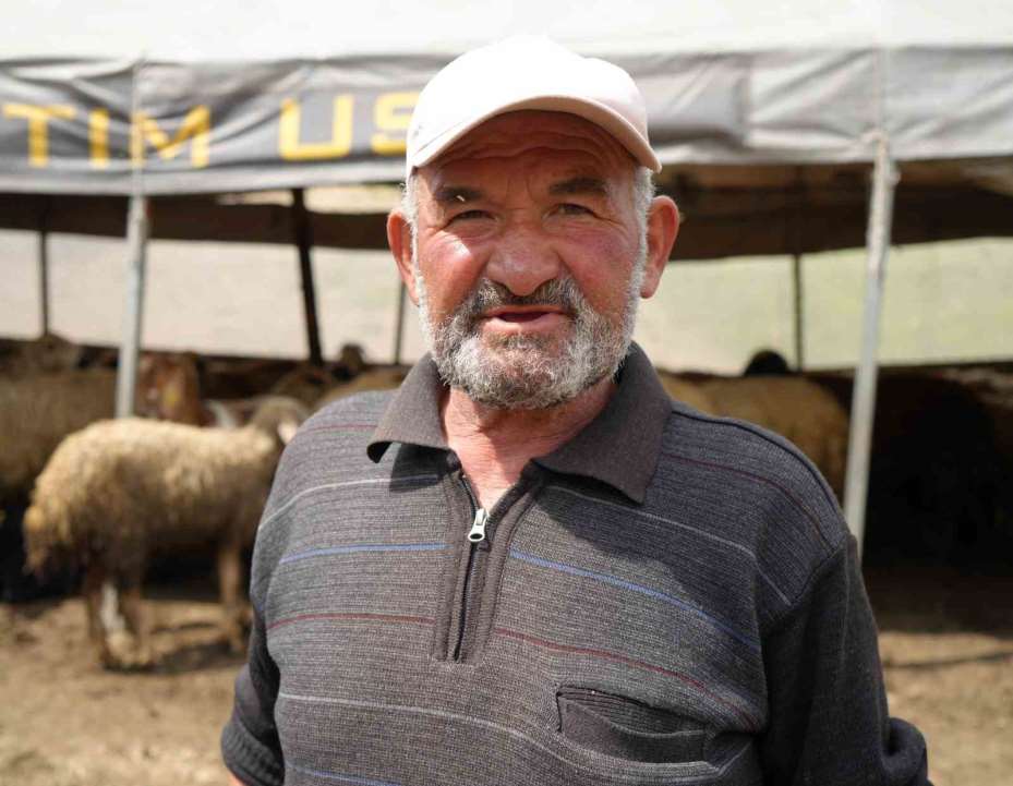Sürüsünü kurtlara kaptıran kadın gözyaşlarını tutamadı: "Hepsi evladım gibiydi"