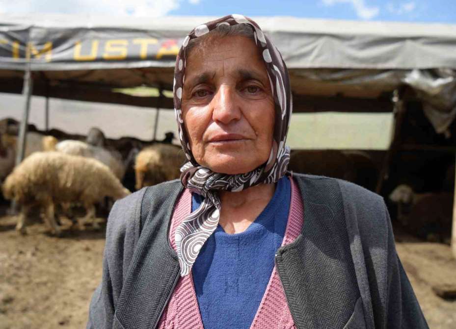 Sürüsünü kurtlara kaptıran kadın gözyaşlarını tutamadı: "Hepsi evladım gibiydi"
