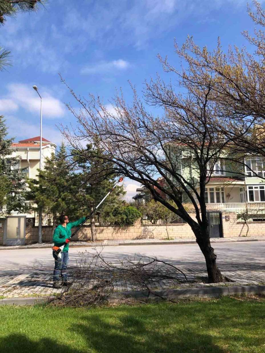 Kayseri, daha yeşil ve temiz hale geliyor