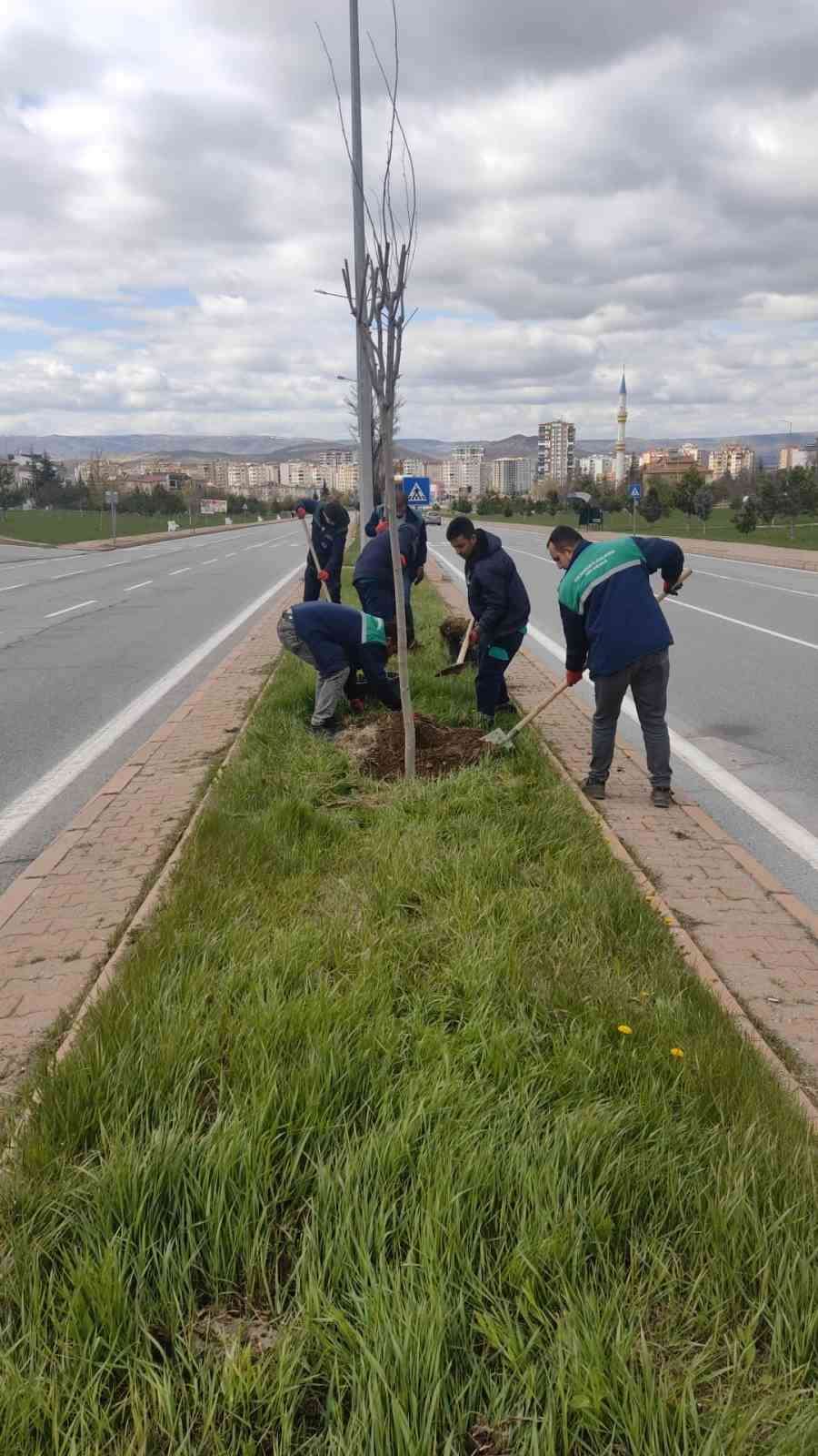 Kayseri, daha yeşil ve temiz hale geliyor