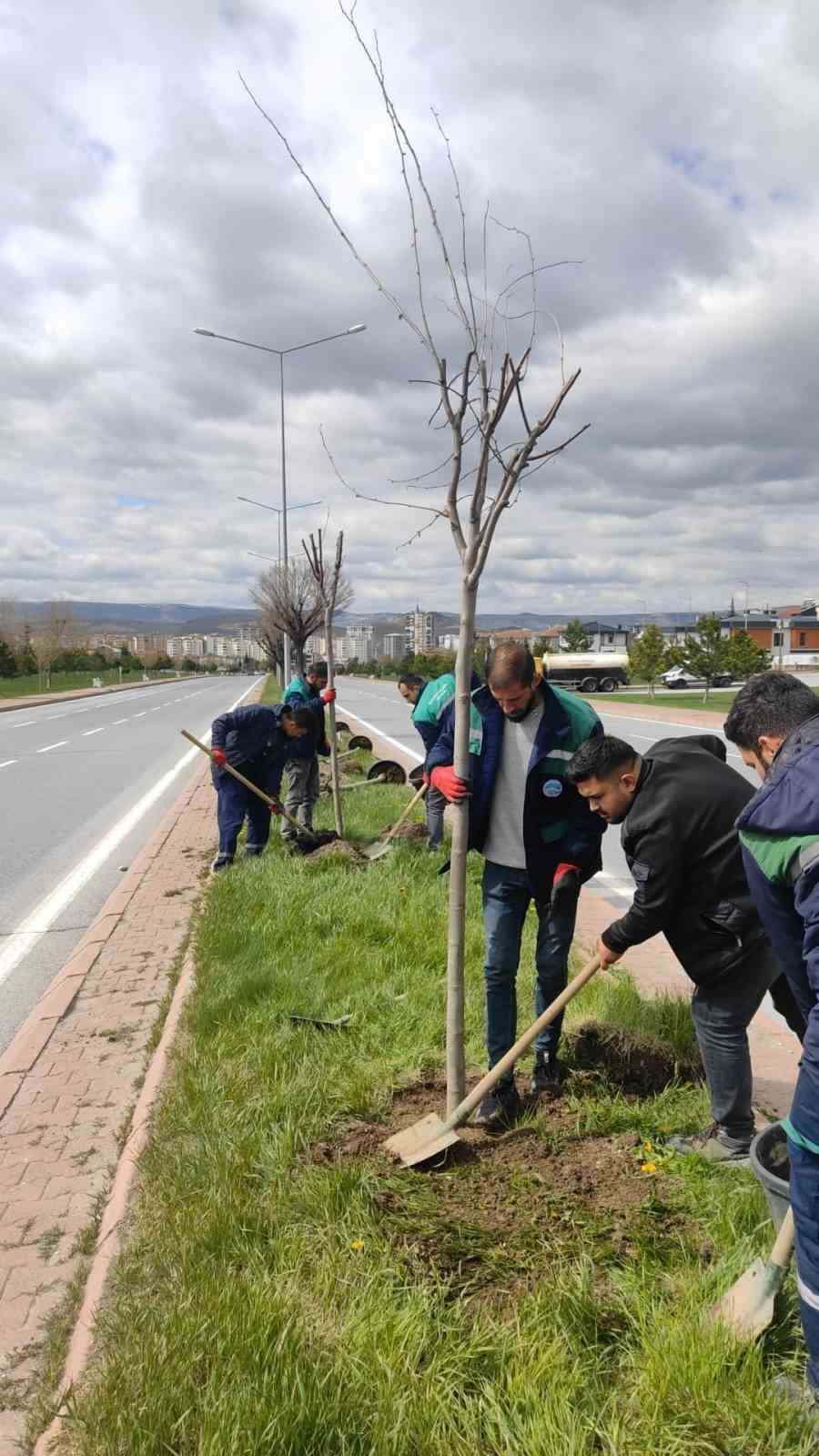 Kayseri, daha yeşil ve temiz hale geliyor