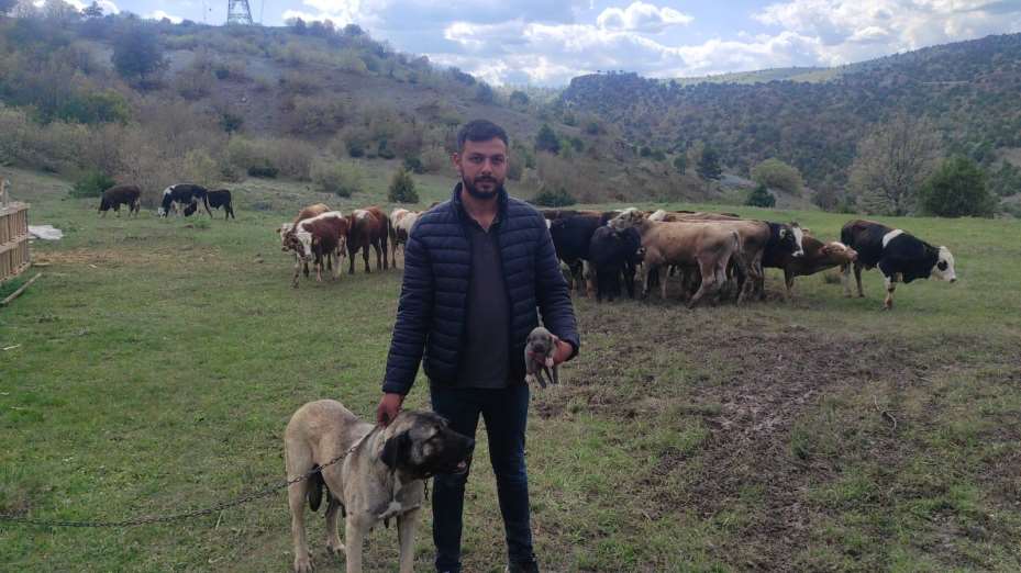 Sosyal medyada linç edilmişti, o köpeğin sahibi konuştu