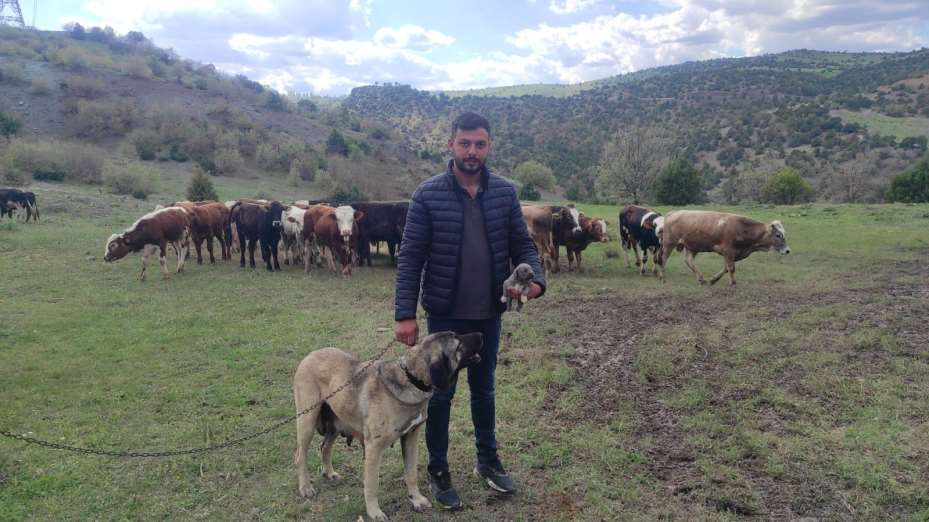 Sosyal medyada linç edilmişti, o köpeğin sahibi konuştu