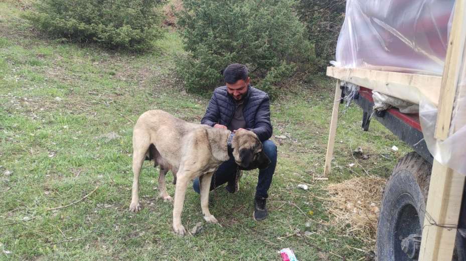Sosyal medyada linç edilmişti, o köpeğin sahibi konuştu