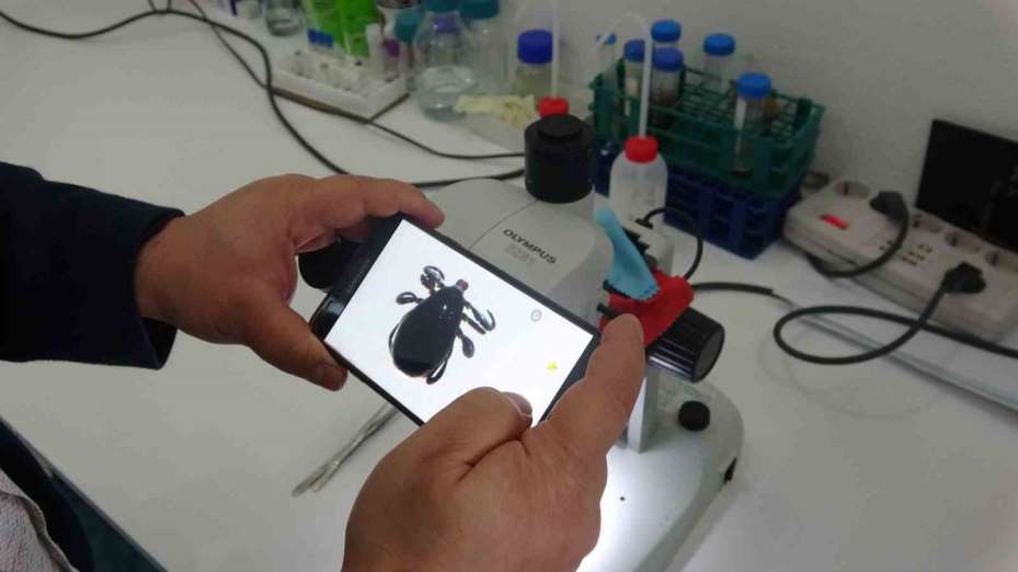 Kendisi kadar yanlış uygulamalar da öldürüyor