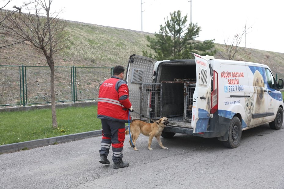 Kocasinan Belediyesi’nden veterinerlik personeline sertifikalı eğitim