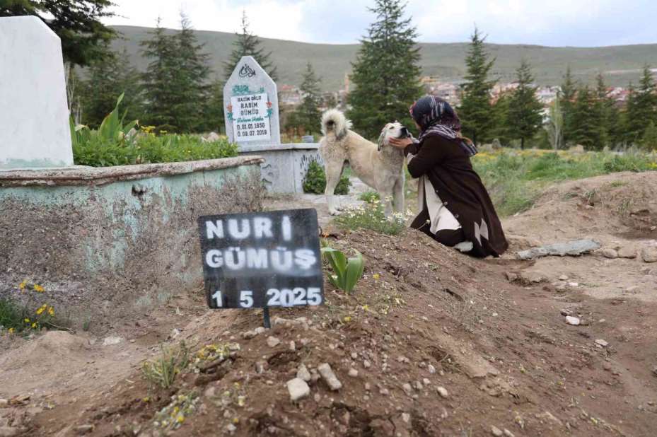 ’Garip’in vefası: Ölen sahibinin mezarından ayrılmıyor