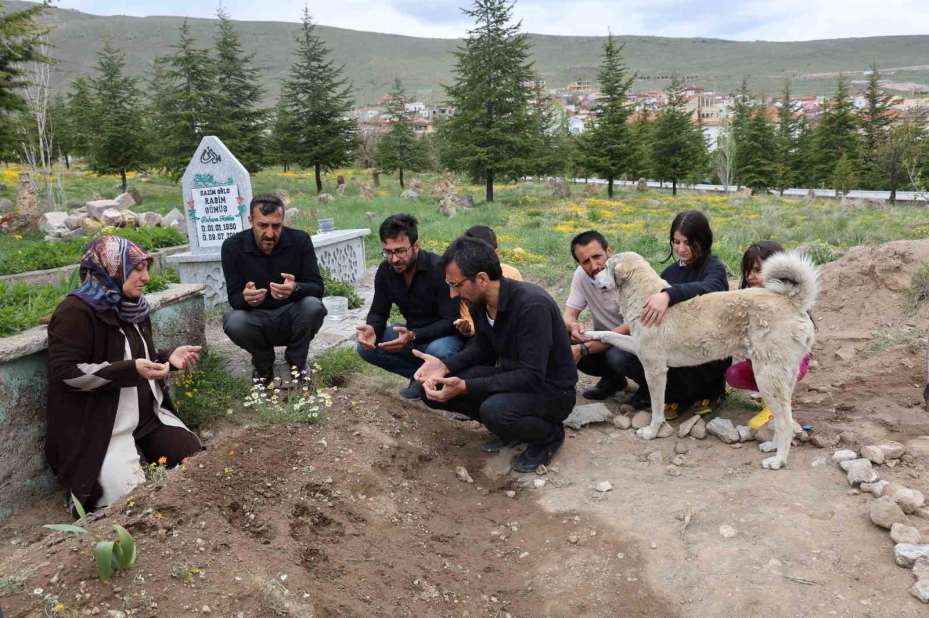 ’Garip’in vefası: Ölen sahibinin mezarından ayrılmıyor