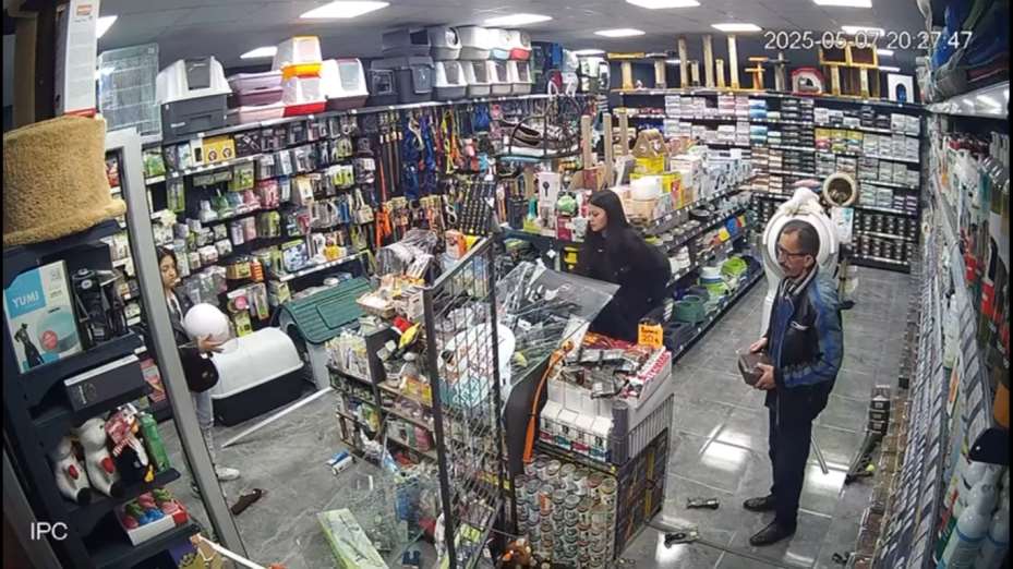 Motosiklet kadın sürücüsü ile birlikte petshop mağazasının camından içeriye daldı