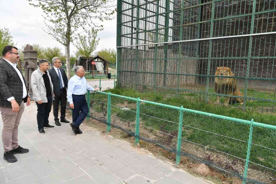 Başkan Büyükkılıç, hayvanat bahçesini ziyaret etti